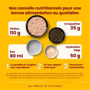 Alternative view of Almo Nature HFC Saumon en Gelée | Carton 24×70g | Chat Adulte