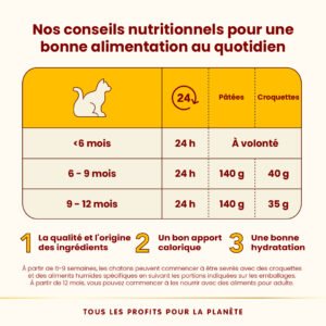 Alternative view of Almo Nature HFC Complete Kitten Saumon & Thon | Carton 24×70g | Chaton
